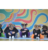 День города, парк Харинка